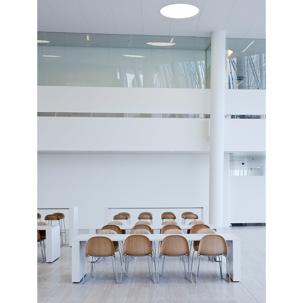3D Unupholstered Dining Chair - American Walnut, Polished Stainless Steel Sledge Base