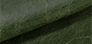 Fabric Swatch 2003 Green