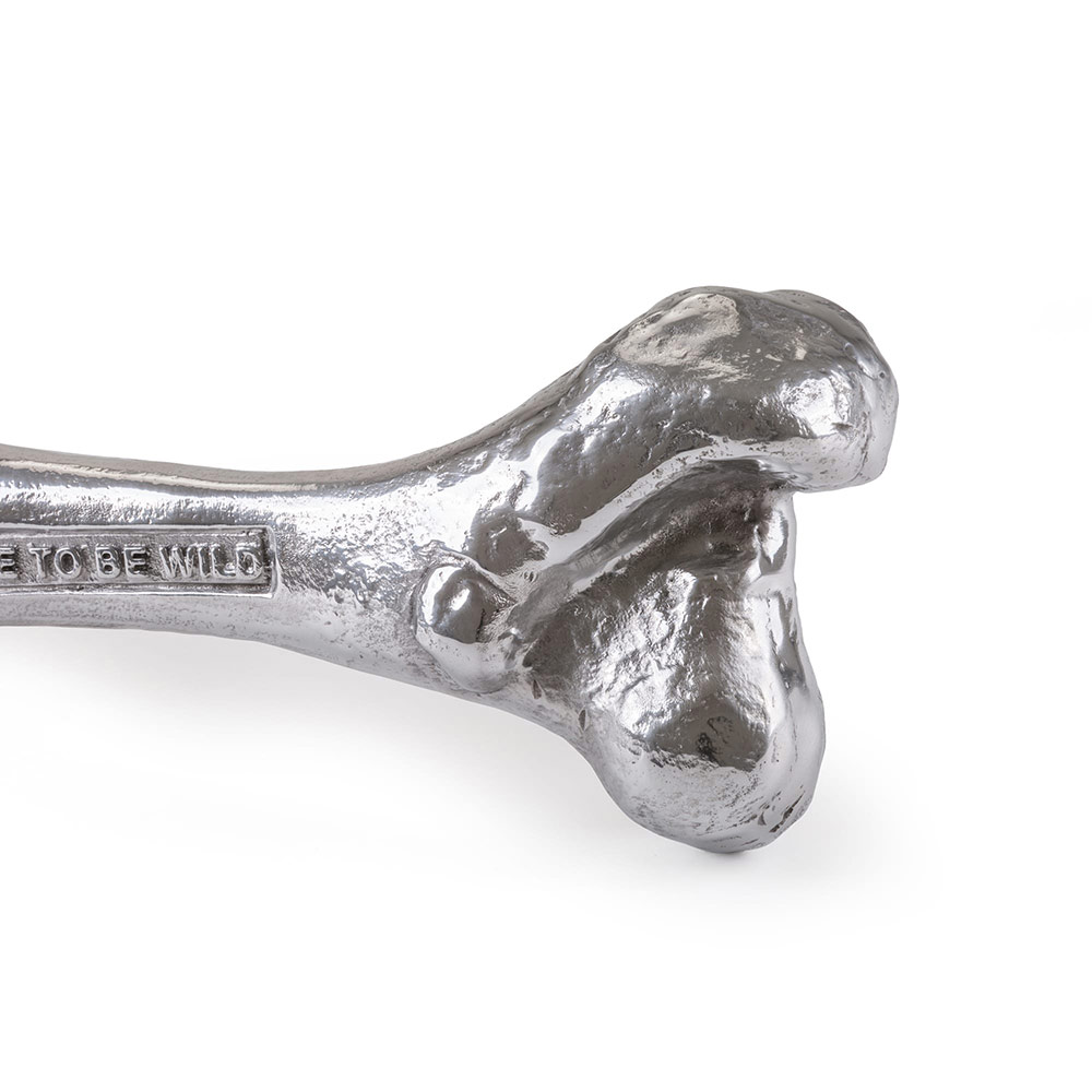 Wunderkammer Bone