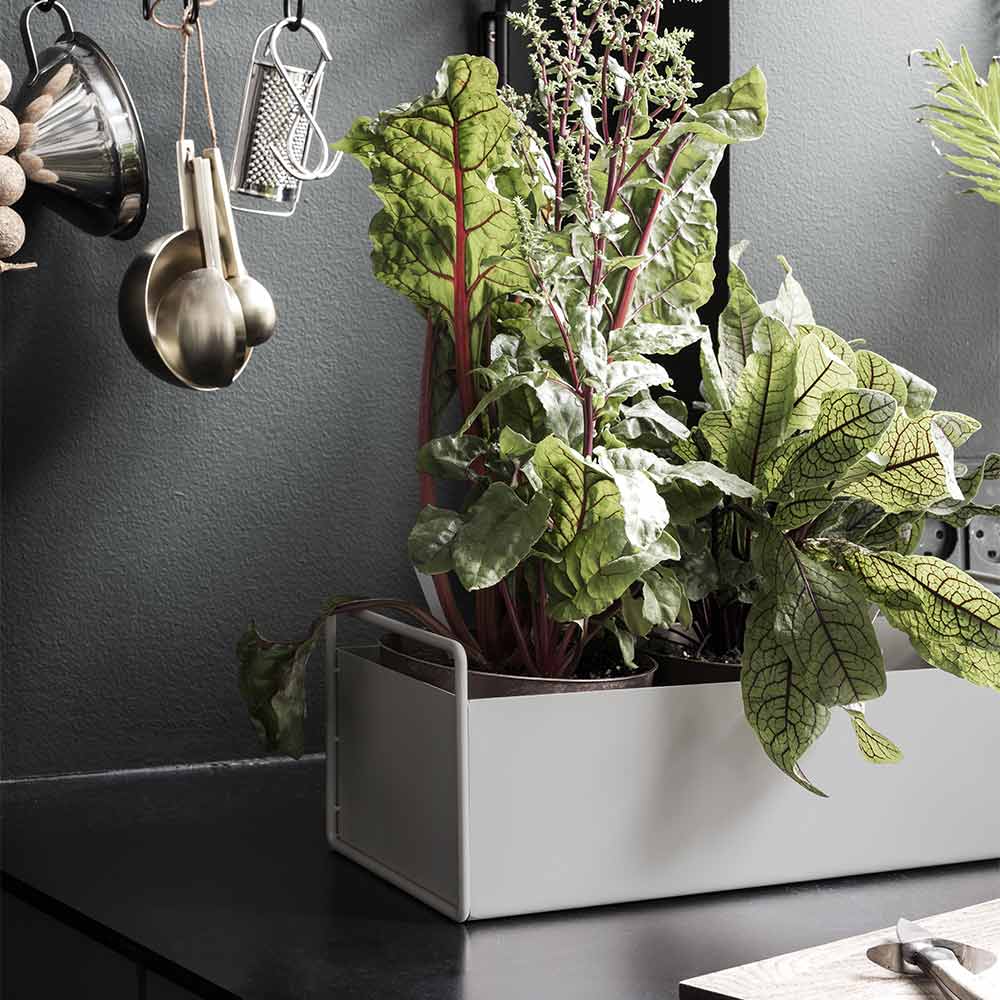 Plant Box Small - Cashmere