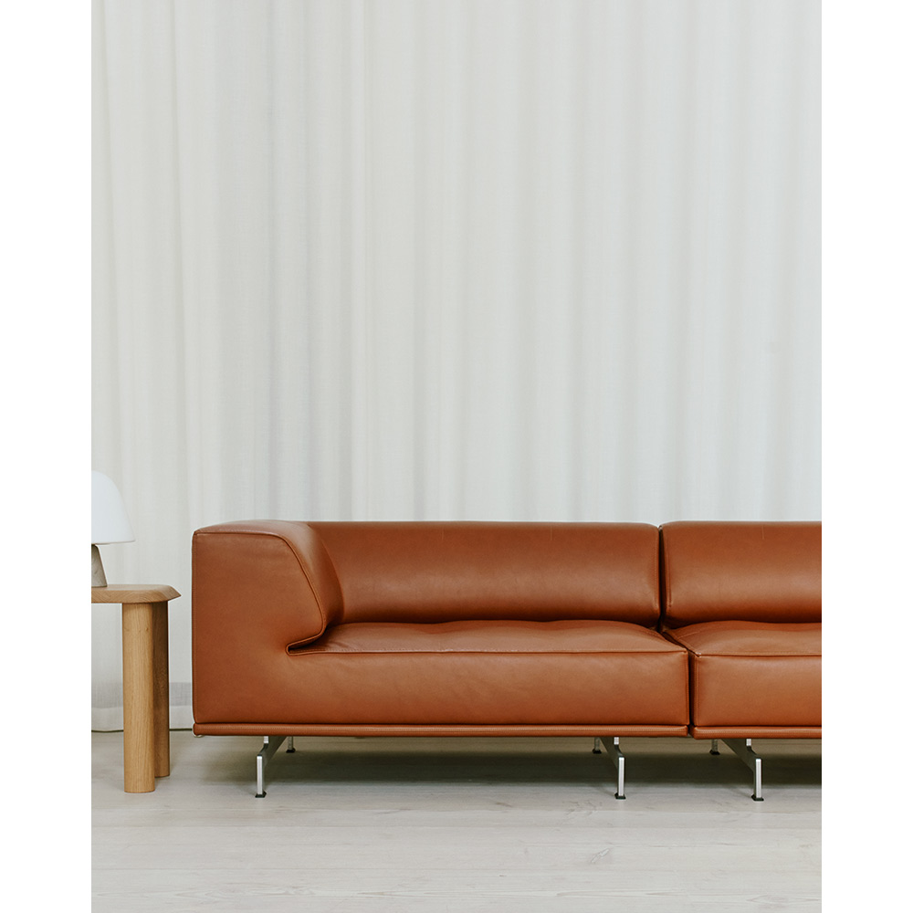 Delphi Elements End Module 47 2w 6 | Rouse Home