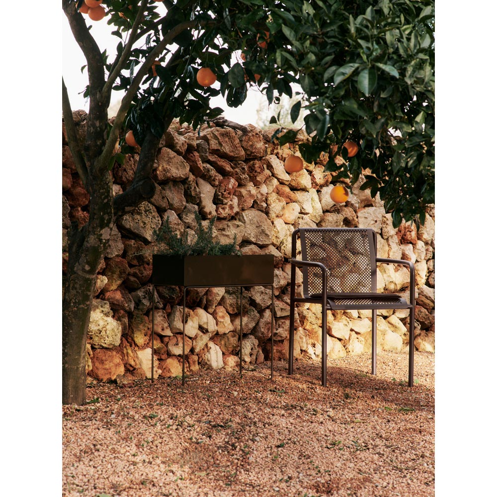 Dapple Chair With Arms - Dark Chocolate