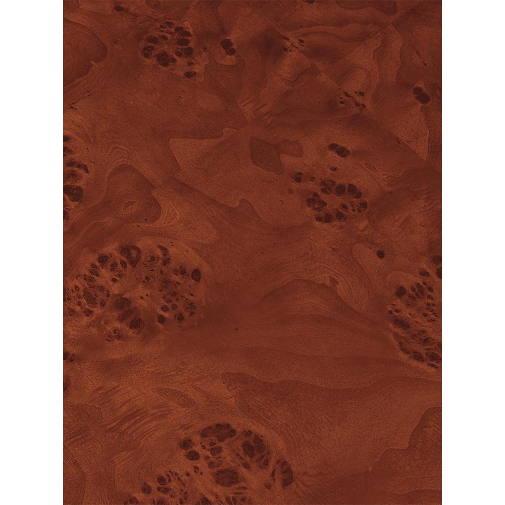 Burl Storage Coffee Table - Dark Stained Burl