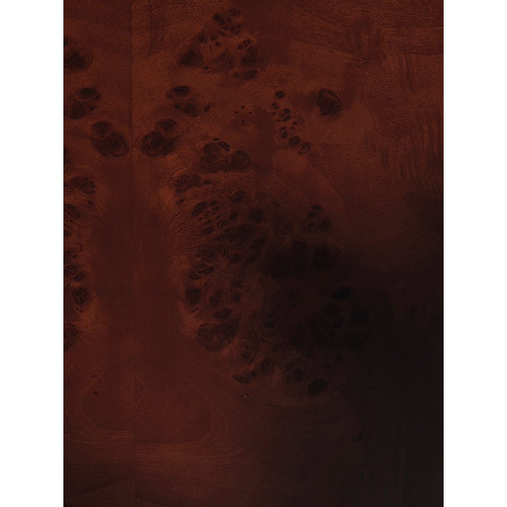 Burl Storage Coffee Table - Dark Stained Burl