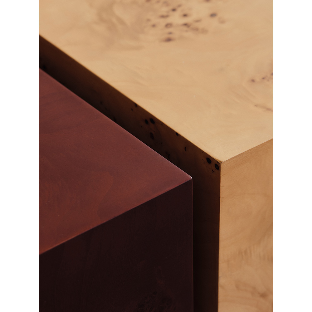 Burl Storage Coffee Table - Natural